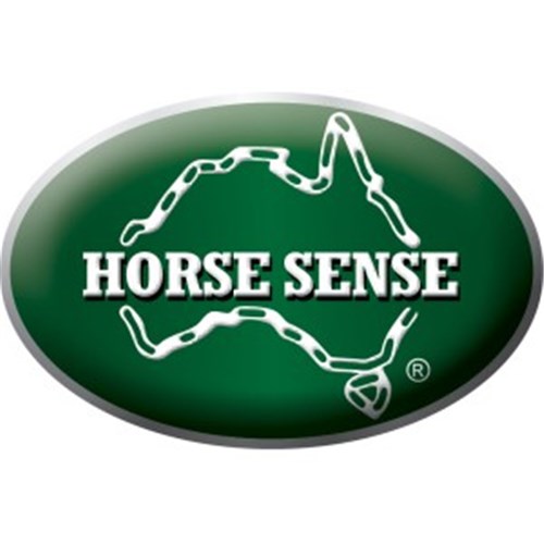 Horse Sense Logo